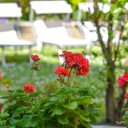 Sant'andrea Hotel Ravenne